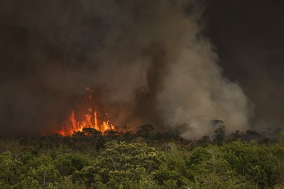 Capa da Notícia