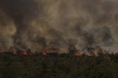 Capa da Notícia