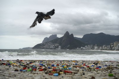 Capa da Notícia