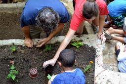 Projeto Rocinha Mais Verde quer ensinar crianças a cultivar alimentos orgânicos