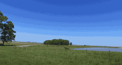 agro_nacional_ep51_02_credito_divulgacao_tv_brasil_1.png