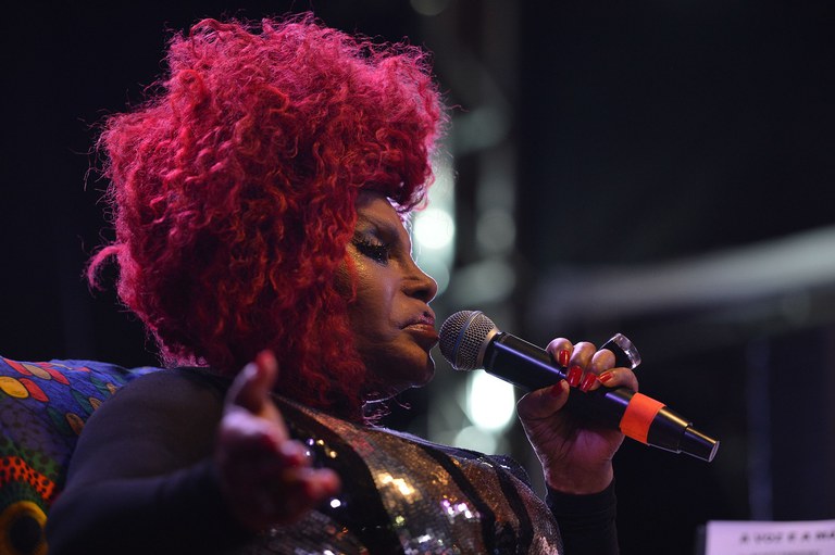 festival_latinidades_elza_soares_03_credito_marcello_casal_jr_agencia_brasil.jpg