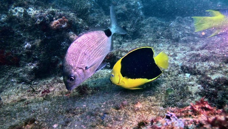 Olhar_Brasil_Guarapari_13_Credito_Divulgacao_TV_Brasil.jpg