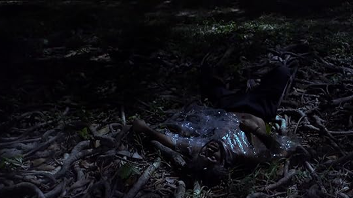 EMAIL Vagalumes 06 Crédito Divulgação TV Brasil.png EMAIL Vagalumes 06 Crédito Divulgação TV Brasil.png