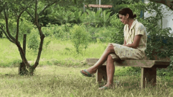 EMAIL Oco 02 Divulgação TV Brasil.png