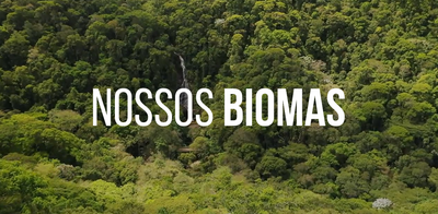 Capa da Notícia