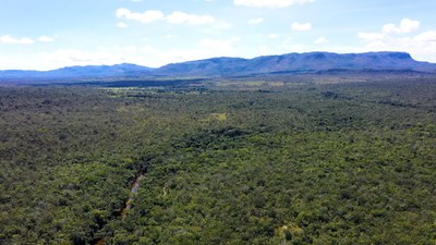 Vista aérea do Cerrado preservado / Crédito: Divulgação / TV Brasil