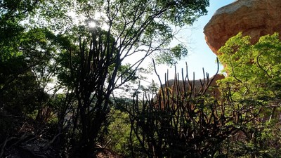 Série Olhar Brasil visita Parque Nacional Serra da Capivara, no Piauí / Crédito: Divulgação / TV Brasil