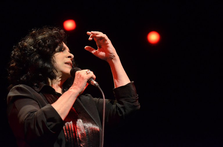 Gal_Costa_na_Flip_2014_02_Credito_Fernando_Frazao_Agencial_Brasil.jpg