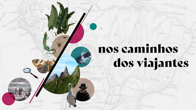 Capa da Notícia
