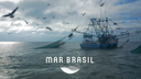Grade de Programação TV Brasil de 19 a 25.01.2026
