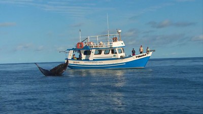 Série documental Mar Brasil / Crédito: Divulgação / TV Brasil