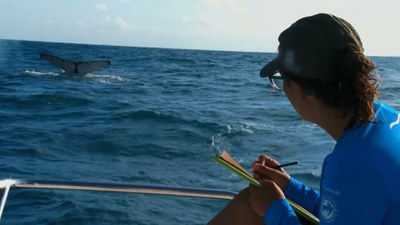 Série documental Mar Brasil / Crédito: Divulgação / TV Brasil