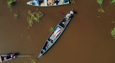 Ciência Flutuante destaca pesquisas na Amazônia / Crédito: Divulgação / TV Brasil Ciência Flutuante destaca pesquisas na Amazônia / Crédito: Divulgação / TV Brasil