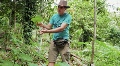 Ciência Flutuante destaca pesquisas na Amazônia / Crédito: Divulgação / TV Brasil Ciência Flutuante destaca pesquisas na Amazônia / Crédito: Divulgação / TV Brasil