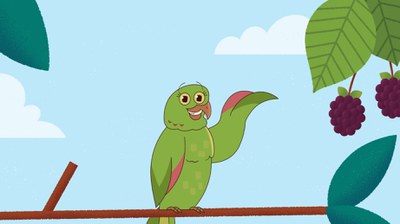 Esse é o Bicho / Crédito: Divulgação / TV Brasil